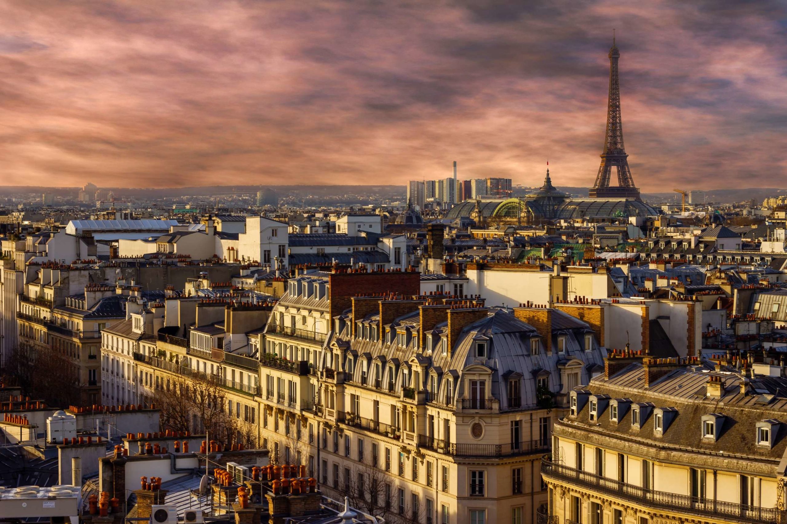 Photograph of buildings in Paris, with the Eiffel Tower in the far background.